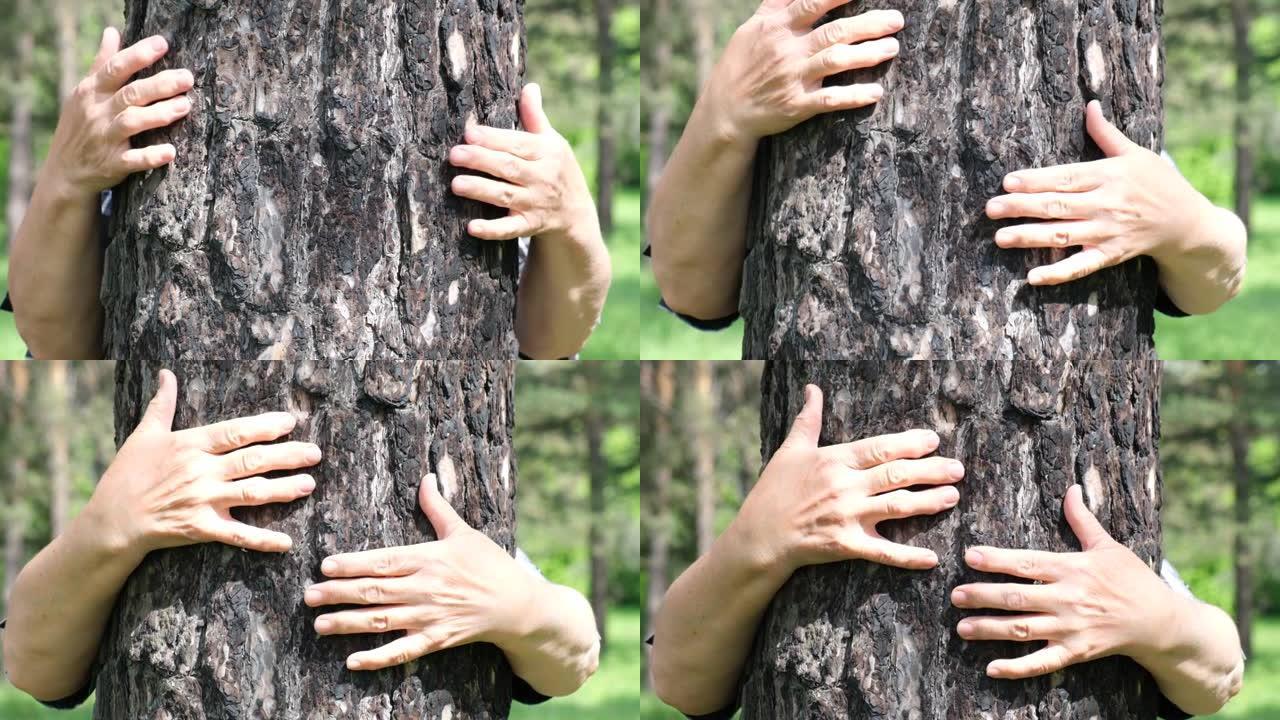 在树林里拥抱树干的高级女人的手-热爱自然和地球日概念。自然保护概念。世界环境日。