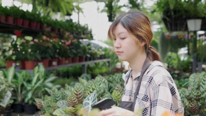 快乐的女性园艺照顾植物。植物护理概念。