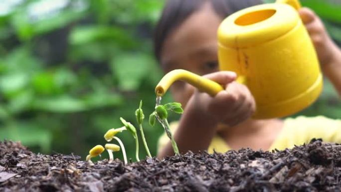 花园中的儿童浇水植物提供水分培育生长植物