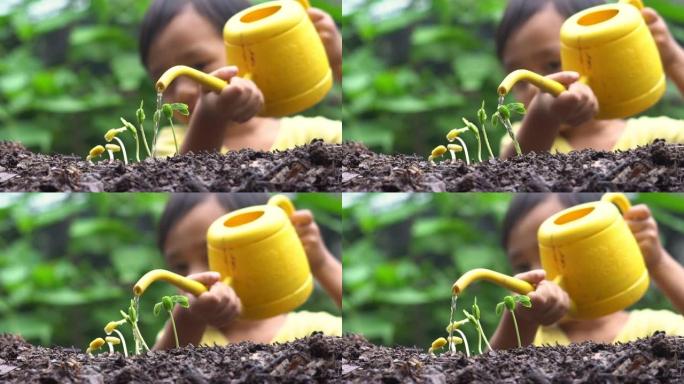花园中的儿童浇水植物提供水分培育生长植物