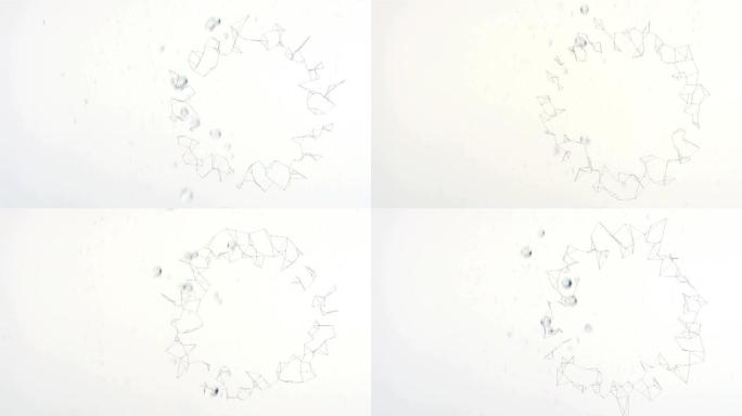 网络旋转的戒指动画，未切割的钻石落在白色背景上
