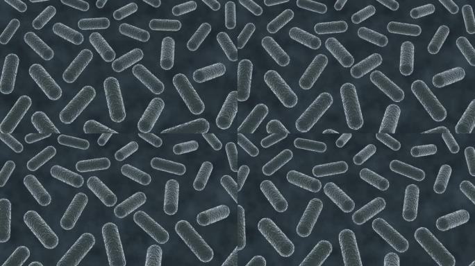 显微镜下芽孢杆菌3d动画
