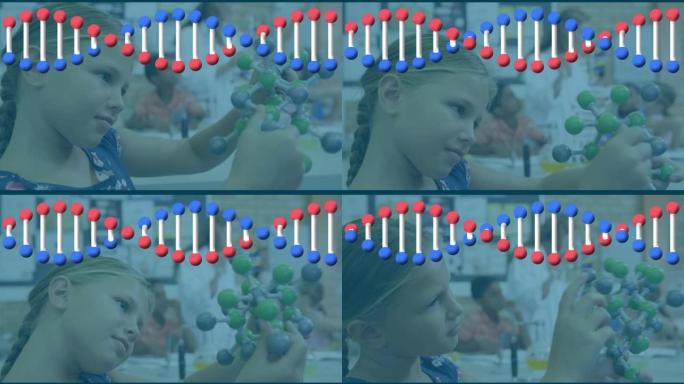 在持有分子模型的女学生上旋转dna链的动画