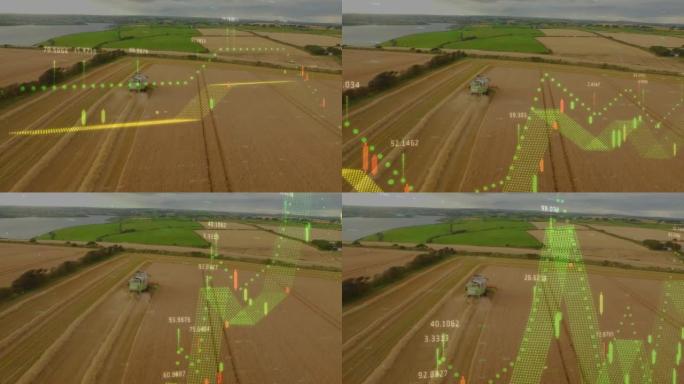 农业领域的统计和金融数据处理动画