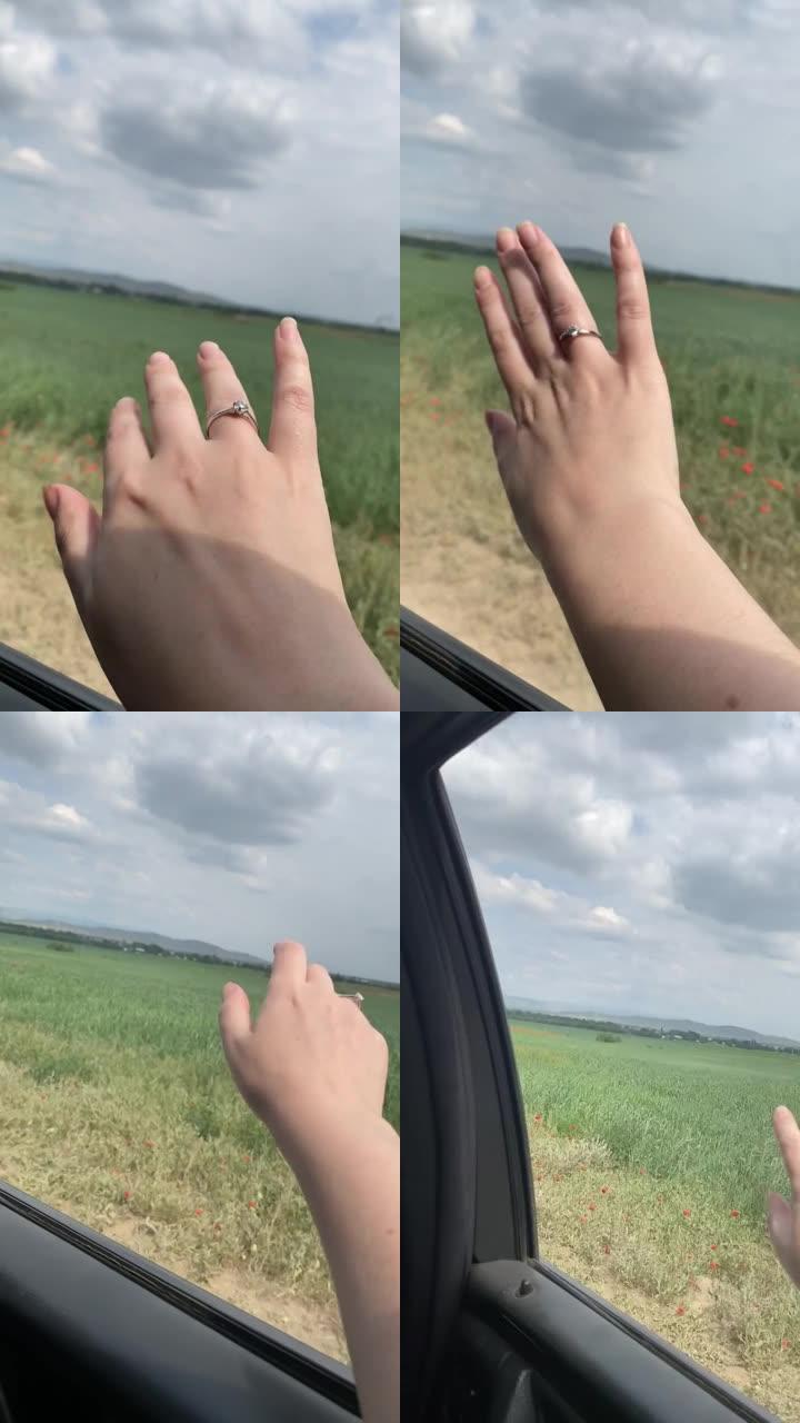 田野背景上有订婚戒指的女人的手。