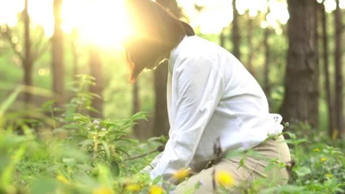 种植后的树树苗心愿阳光晨光