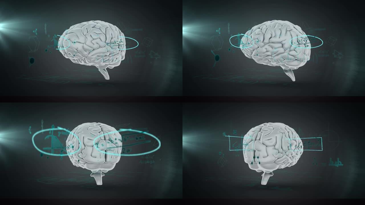 人脑旋转动画与科学数据处理