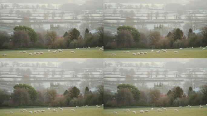 绿色田野中的羊群，薄雾笼罩的日出上的乡村风光，美丽的阳光和教堂建筑，英国科茨沃尔德的典型英国风景