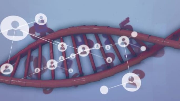 dna代码上的连接网络动画