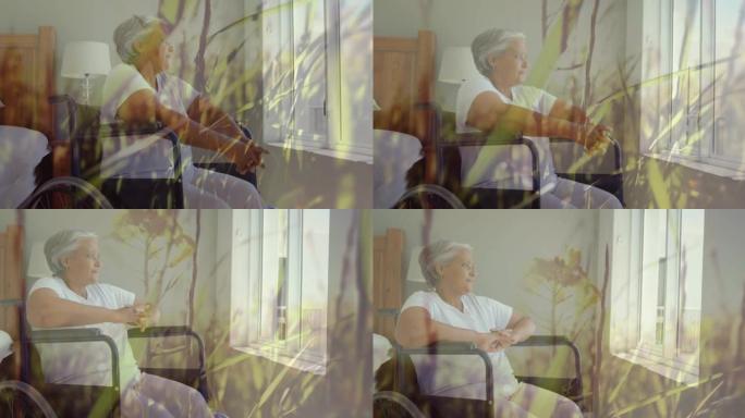 透过窗户看轮椅上的老年妇女的发光动画
