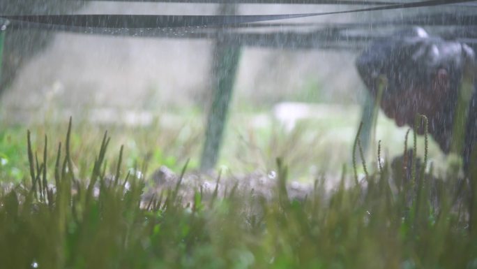 训练意志 训练毅力 战斗精神 风雨训练