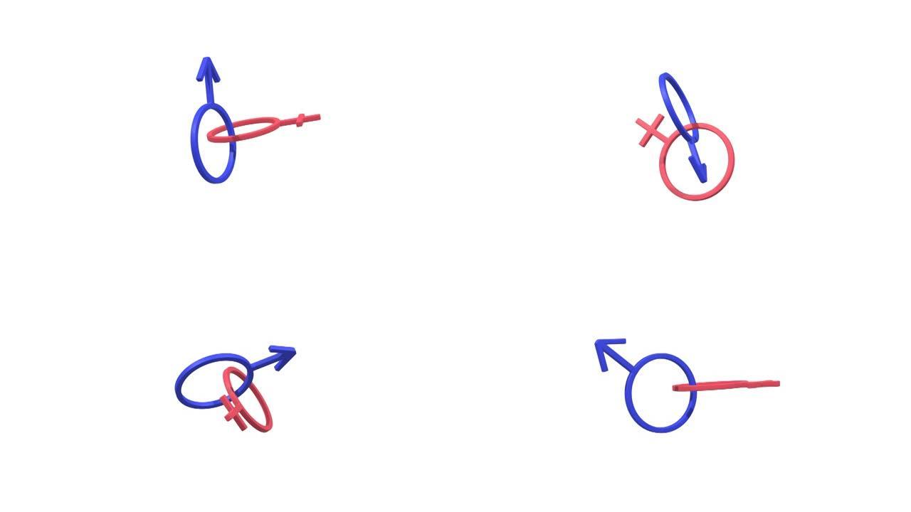 女性和男性符号在白色背景上一起旋转，循环