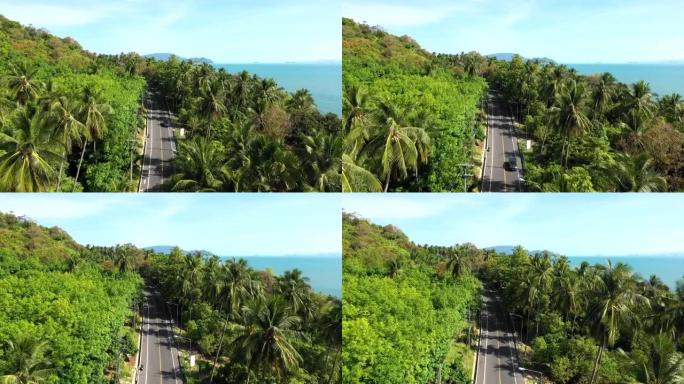 沿着海滩的道路的顶部或鸟瞰图，树木或森林之间分开，库存视频