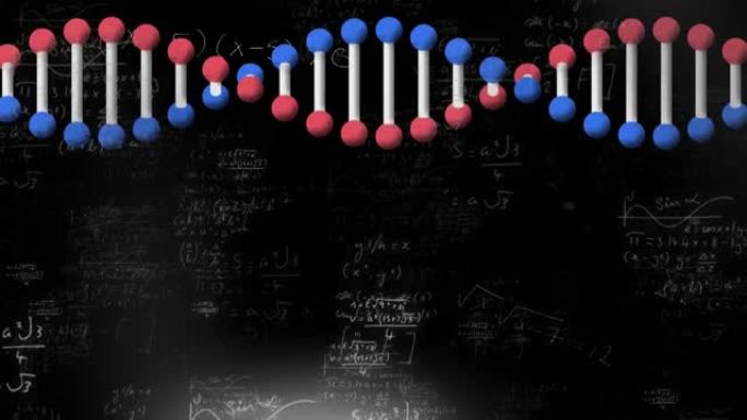 黑色背景上的dna结构根据数学方程旋转的数字动画