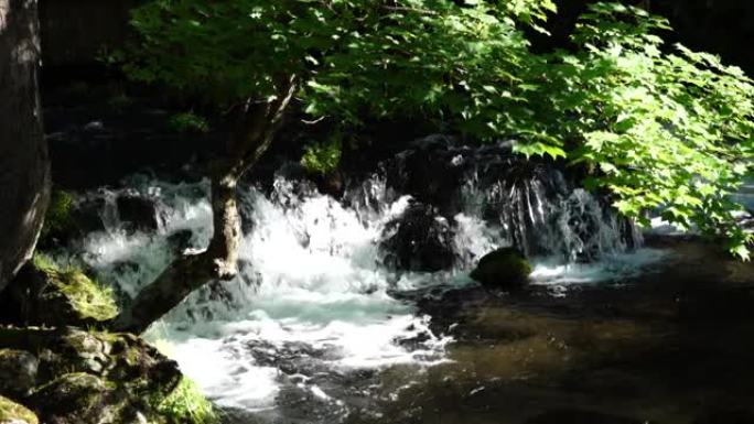 北海道京极町的福地石公园的泉水。