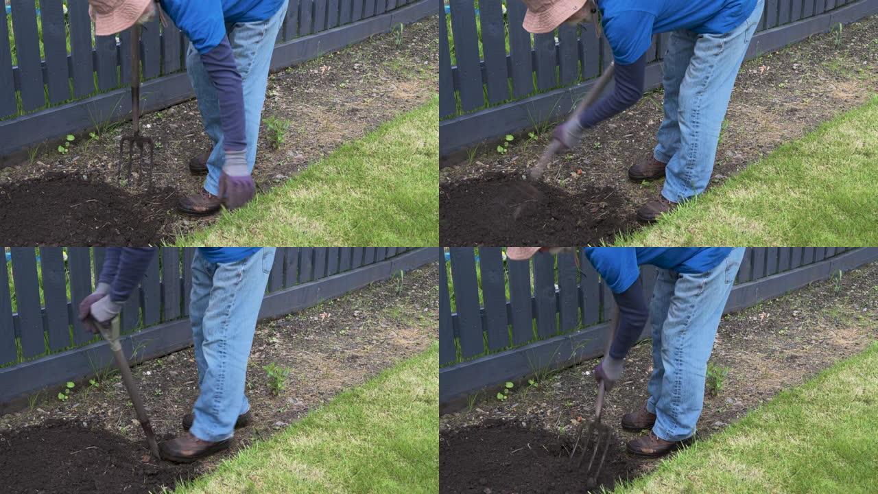 活跃的退休男子在花园里翻土