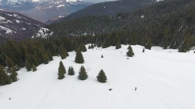 滑雪和单板滑雪的人的鸟瞰图-在松树丛中的新鲜粉末雪中，冒险冬季自由滑行极限运动