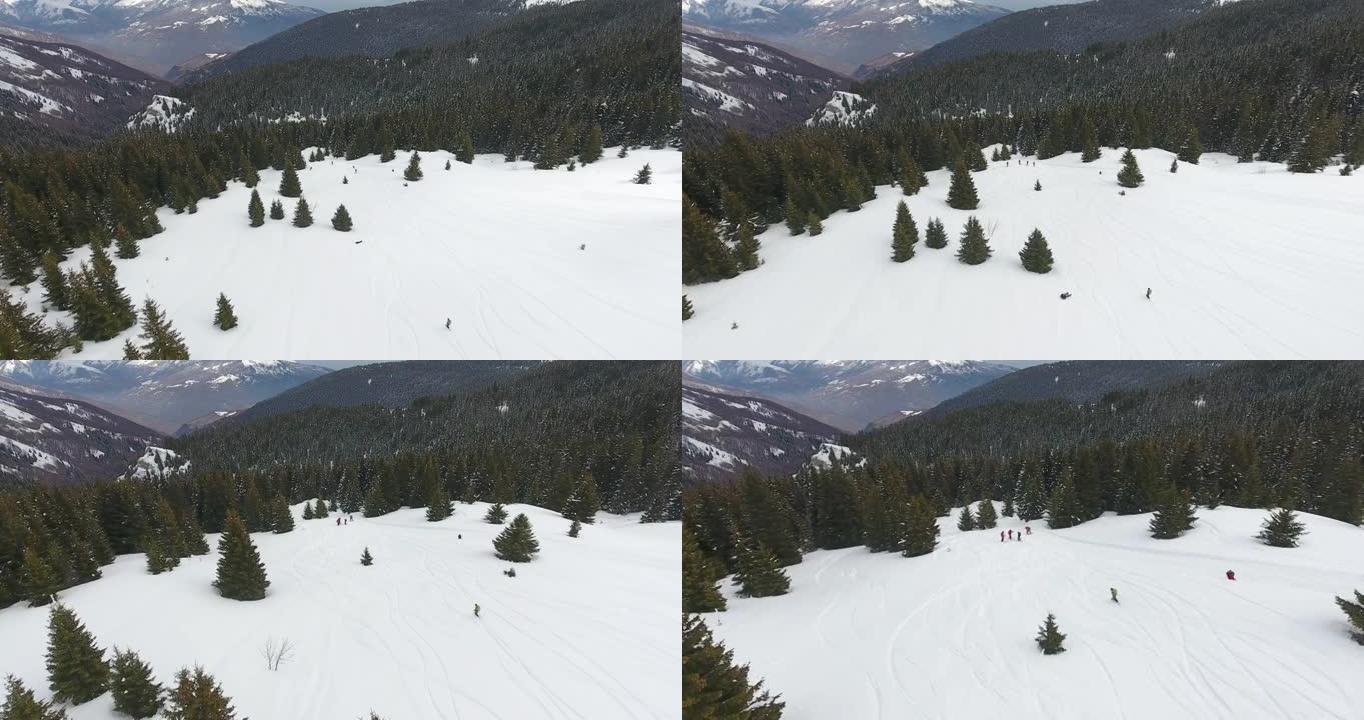 滑雪和单板滑雪的人的鸟瞰图-在松树丛中的新鲜粉末雪中，冒险冬季自由滑行极限运动
