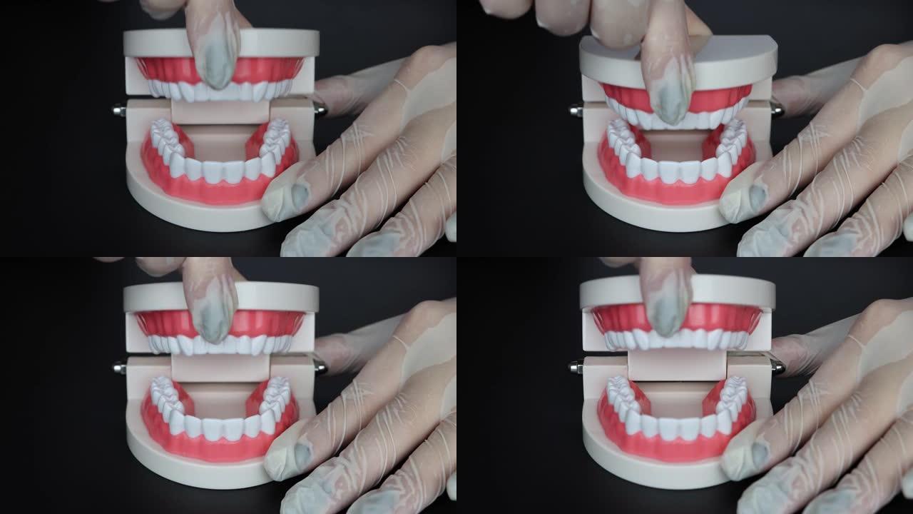 在颌骨的塑料模型上演示健康的牙齿。黑色背景。