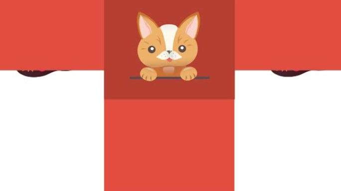 红白方格背景上可爱的狗的动画