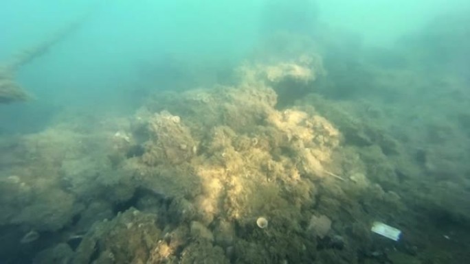 相机降落在浑浊的水下，打开了一个凹陷的东西的视图，上面覆盖着藻类，躺在海底，关闭了。深海探测