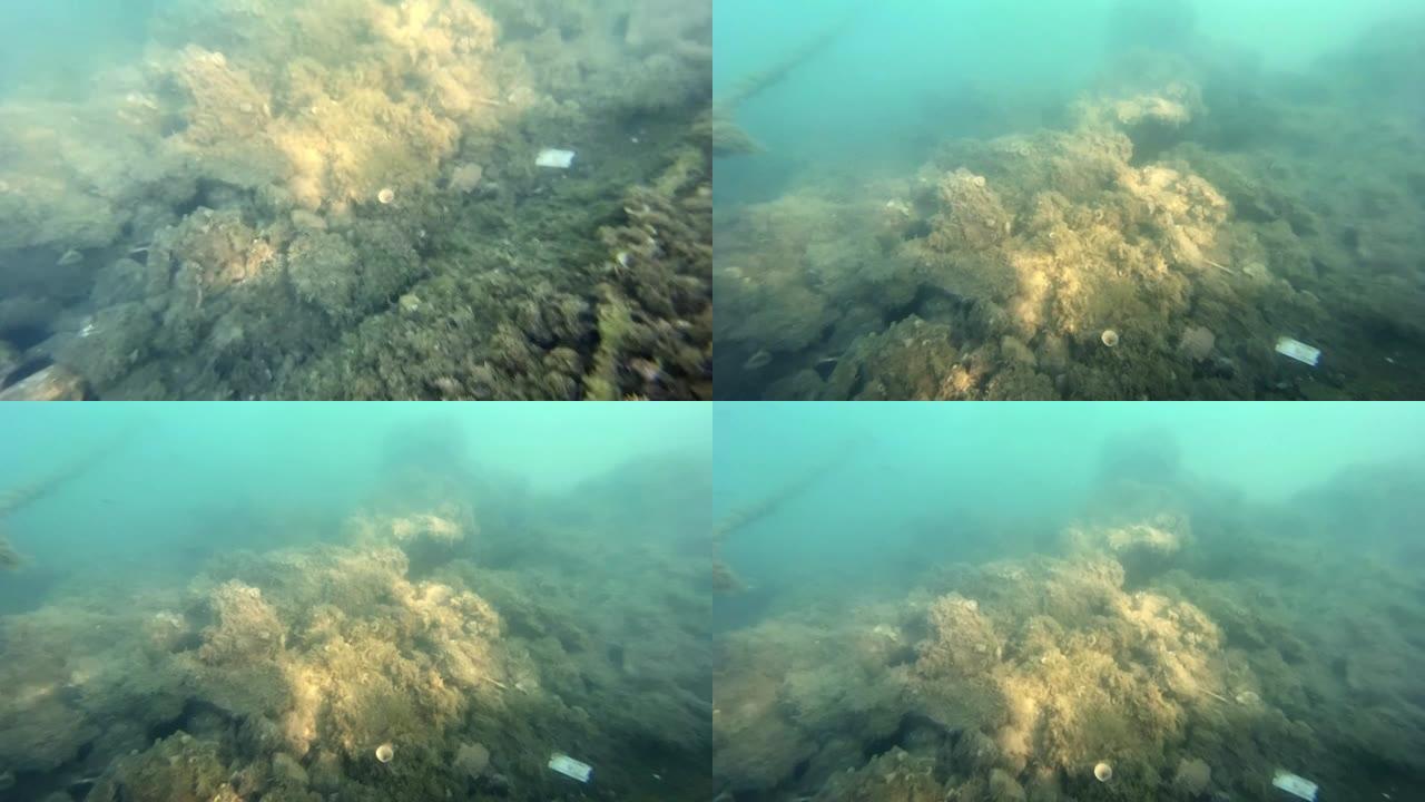 相机降落在浑浊的水下，打开了一个凹陷的东西的视图，上面覆盖着藻类，躺在海底，关闭了。深海探测