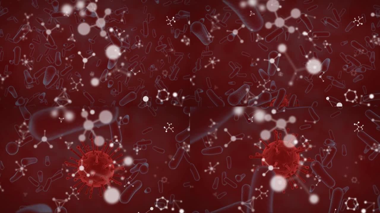 分子和covid 19细胞漂浮的动画