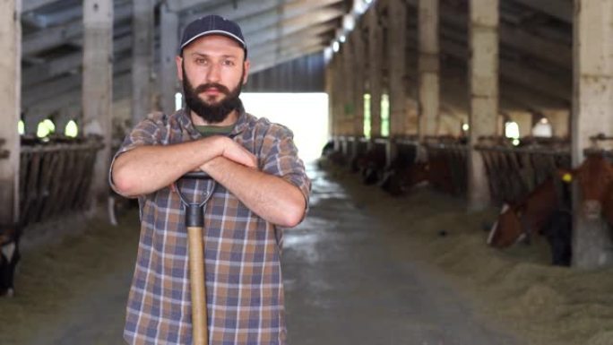 4k视频肖像，年轻的男性农场工人留着胡须和帽子，拿着铲子，看着奶牛场里的摄像机，担心而严肃