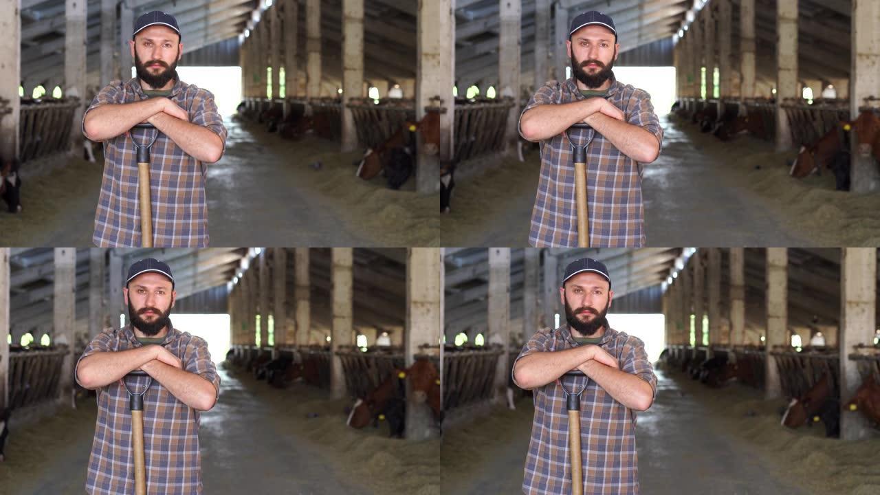 4k视频肖像，年轻的男性农场工人留着胡须和帽子，拿着铲子，看着奶牛场里的摄像机，担心而严肃