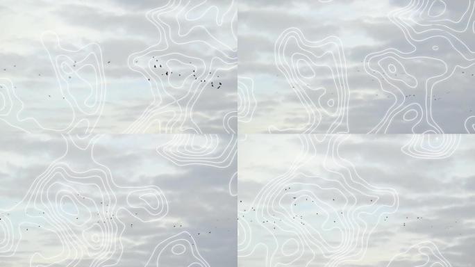鸟类和天空上的白线网络动画