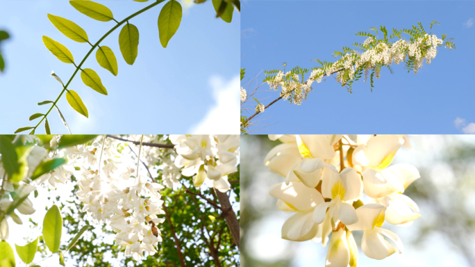 春暖花开