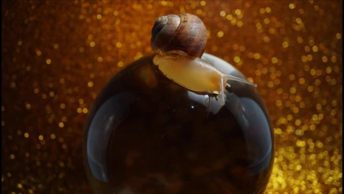 深色玻璃球上的蜗牛