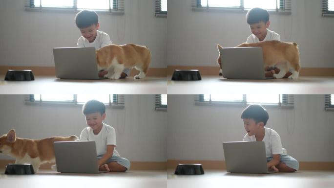 亚洲孩子与狗一起学习在线学习。新常态的概念研究与检疫