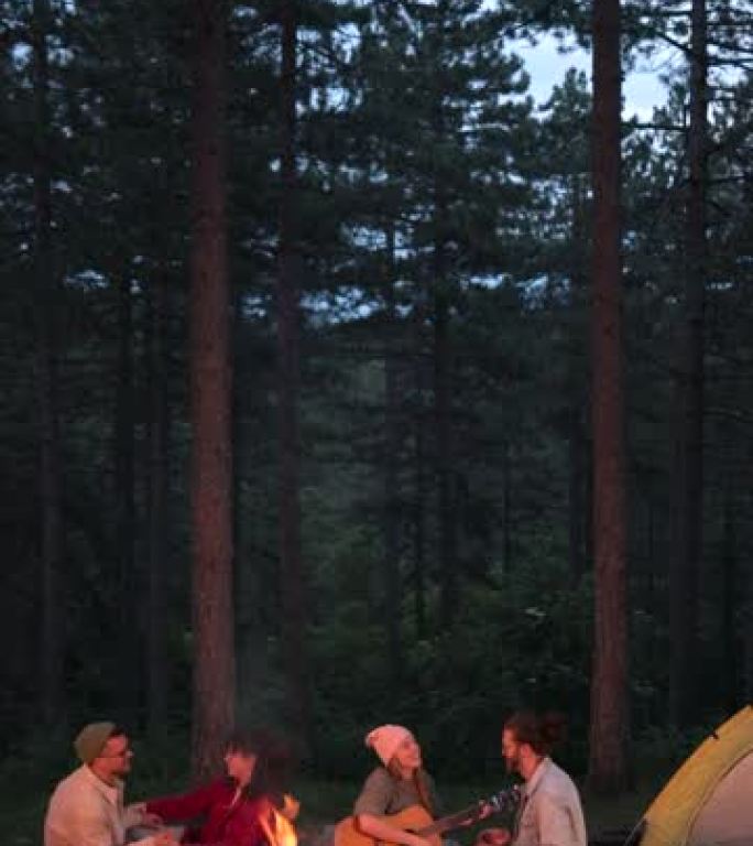 一群快乐的朋友一起在树林里露营，唱歌和弹吉他的垂直视频。