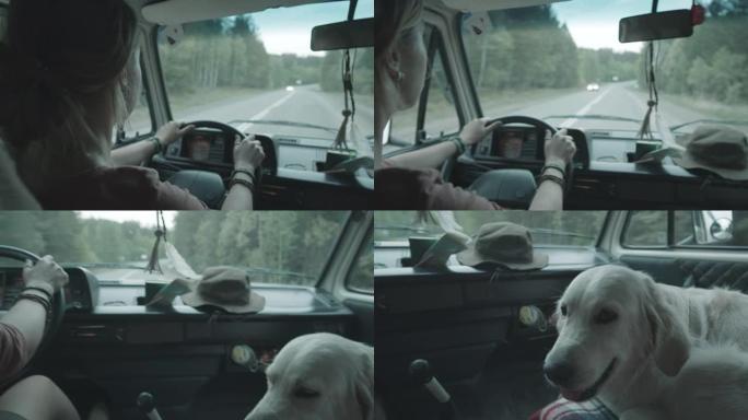 女人带狗开车