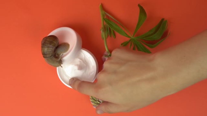 一个女人将手指浸入一罐化妆霜中。一只蜗牛正沿着一罐奶油爬行。
