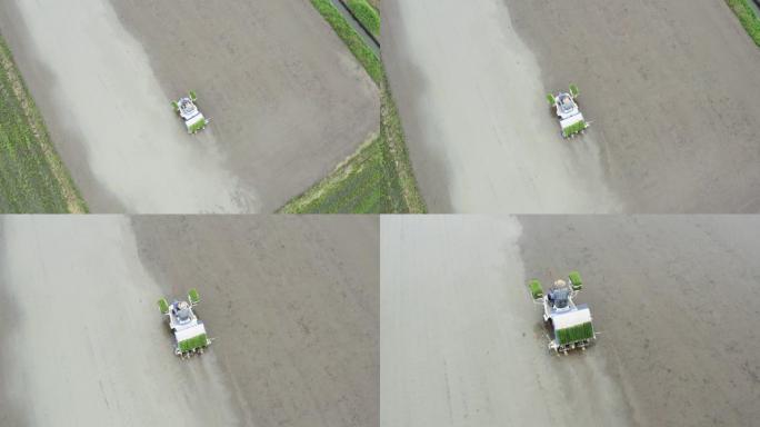 无人机视频，一名老人用稻米气喘机种植水稻作物