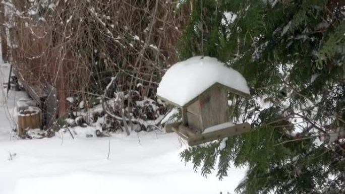 放大一个古老的饱经风霜的小鸟舍，悬挂在针叶树的树枝上，屋顶覆盖着白雪覆盖