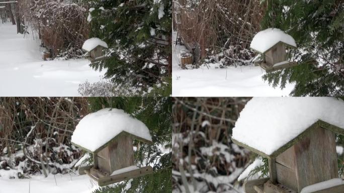 放大一个古老的饱经风霜的小鸟舍，悬挂在针叶树的树枝上，屋顶覆盖着白雪覆盖