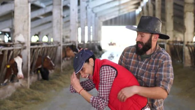 在大型奶牛农场里，穿着休闲服装的白人农民夫妇互相挠痒痒，微笑着相机的4k视频视图。