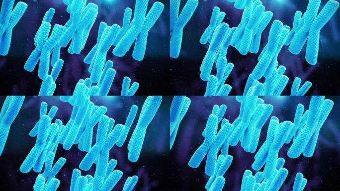 人类染色体。细菌放大消毒杀菌生物课