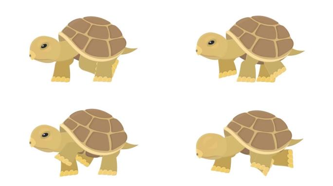乌龟。动物乌龟的动画。卡通