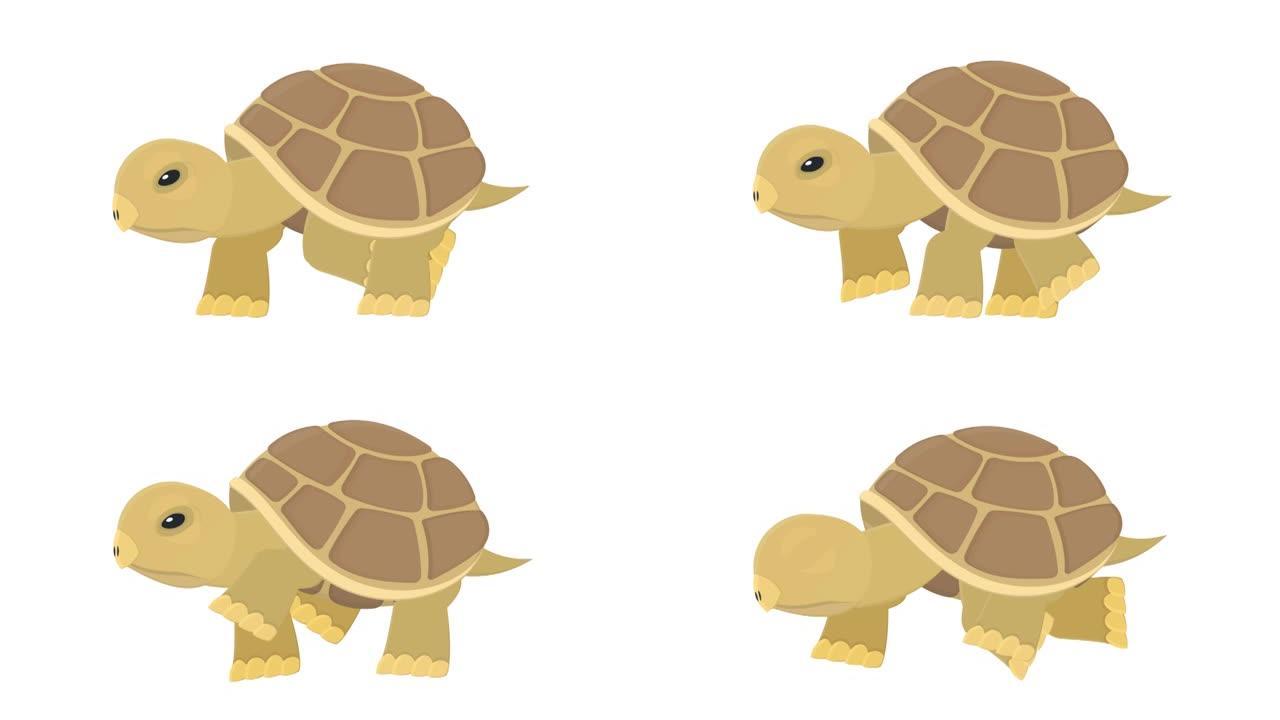 乌龟。动物乌龟的动画。卡通