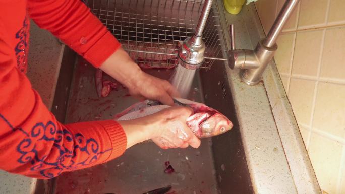 草鱼开膛去内脏杀鱼处理鱼肉 (6)