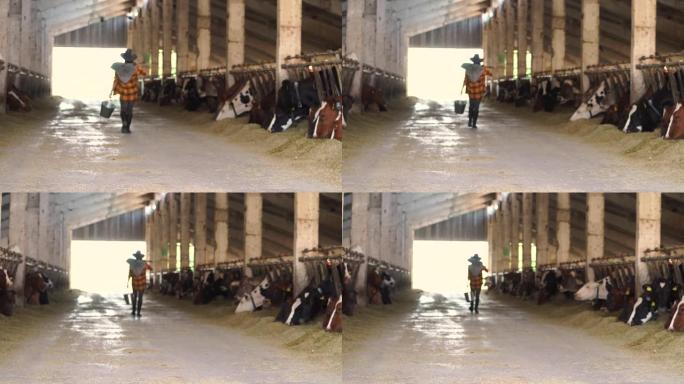 4k视频后视图女农场工人拿着桶和铁锹在农场牛棚里行走