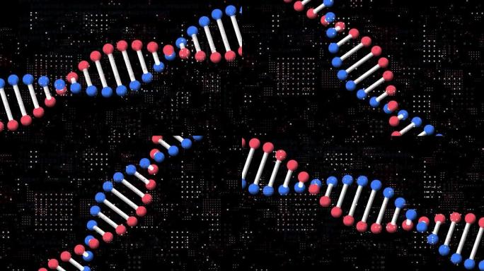 3d模型dna链的动画和数据处理，黑色