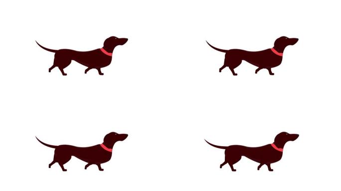 腊肠犬。狗动物的动画。卡通
