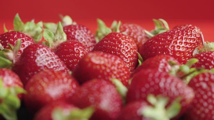 覆盖着水滴的多汁成熟草莓靠近旋转。夏季甜浆果，红色背景上有绿色尾巴。健康的有机素食食品。维生素健康水
