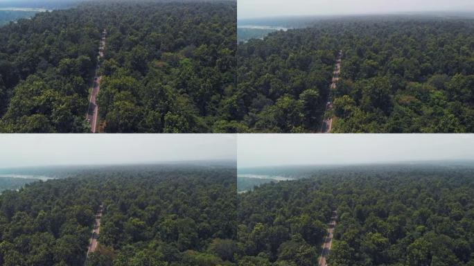 深林树景观直道鸟瞰图。高速公路穿过拉贾吉国家公园、德拉敦-里希凯什路。