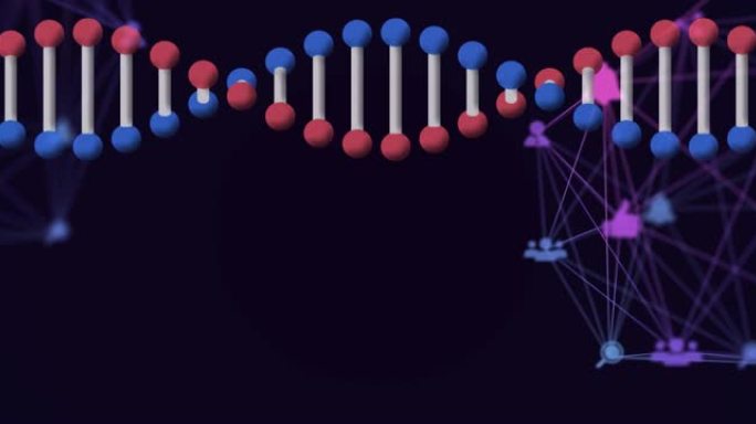 旋转3d脱氧核糖核酸链的动画，黑色上连接图标的网络